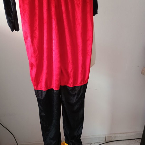 Mickey Mouse Disney costume used