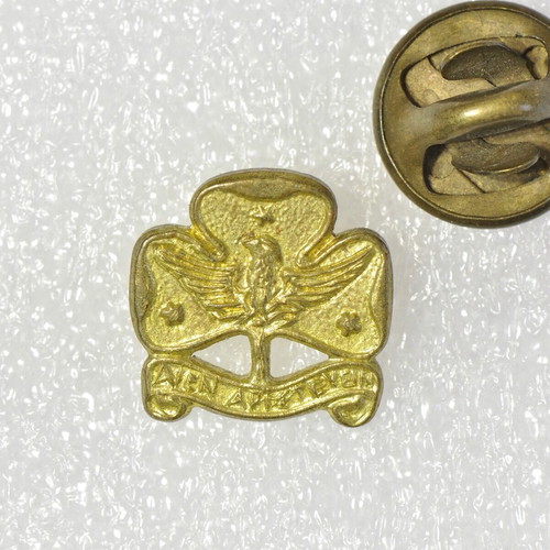 Scouting lapel pin used