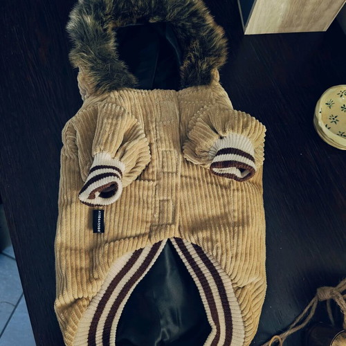 Corduroy Doggy Dolly jacket new for small dogs