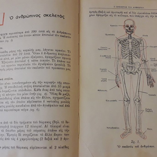 Ai Protai Voitheiai First Aid Manual Greek Red Cross 1955