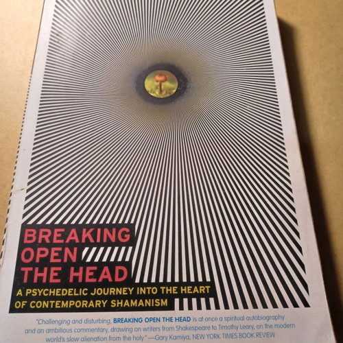 Breaking Open The Head by Daniel Pinchbeck like new, English