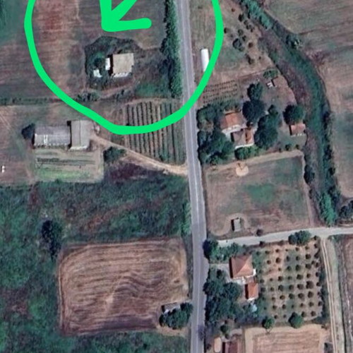 Detached house 110 sqm with 9 acres land in Ileia, Oleni