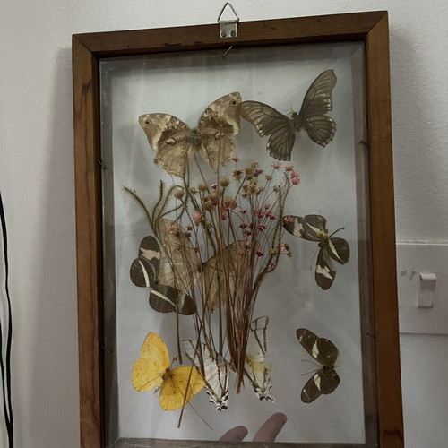 Vintage wooden frame with butterflies and dried flowers, antique wall art