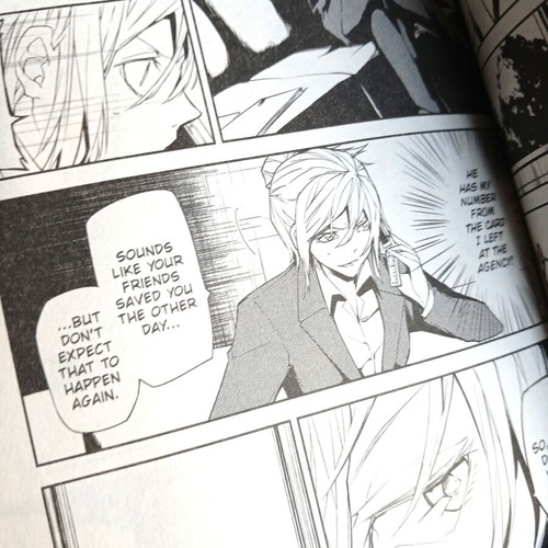 Bungo Stray Dogs Volume 2 manga like new, English edition