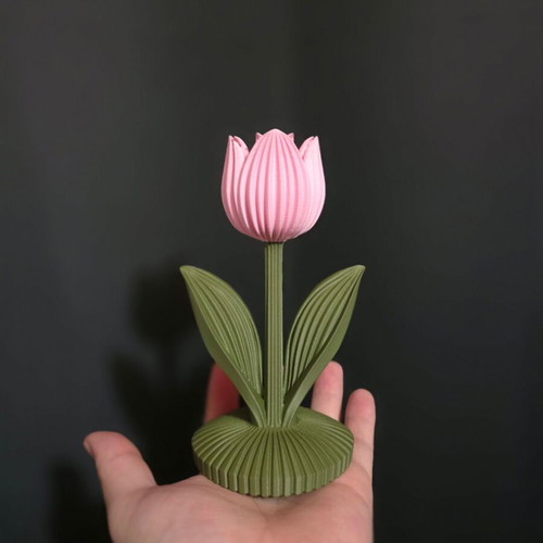 Decorative tulip new with ribbed texture