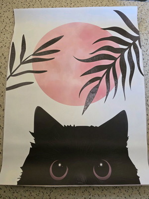 Poster 40x30cm like new without frame
