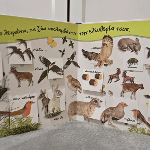 Children's Educational Books by Susaeta New