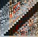 Χαλι μαλλινο 160X230
