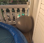 Exercise ball large like new