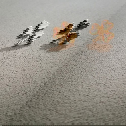 Clover earrings new, gold color