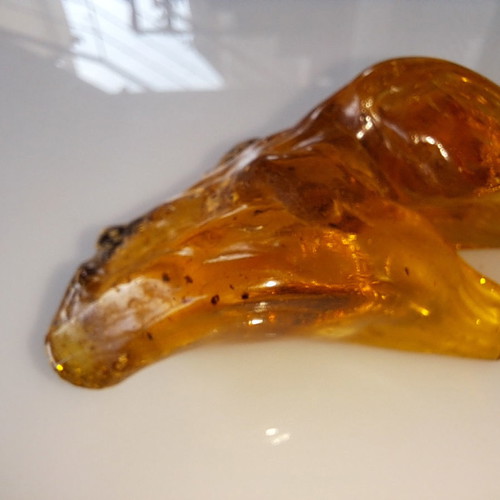 Baltic amber with insects, new, 51.48 g, millions of years old
