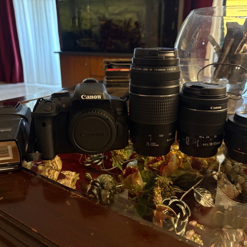 Canon 750d camera with lenses and flash
