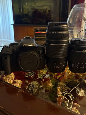 Canon 750d camera with lenses and flash
