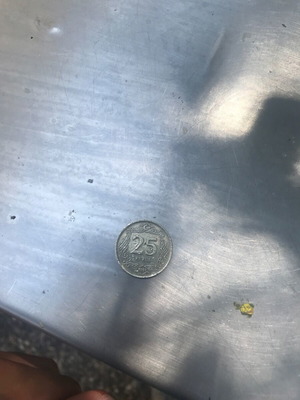 25 Kurus coin 2009 used