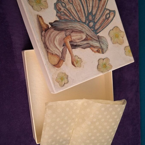 Fairy Gift Box new