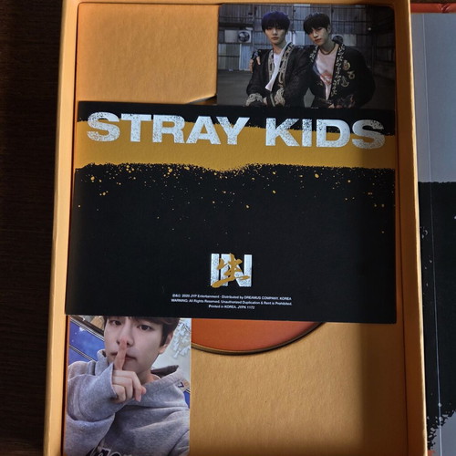 Stray Kids In Life album used