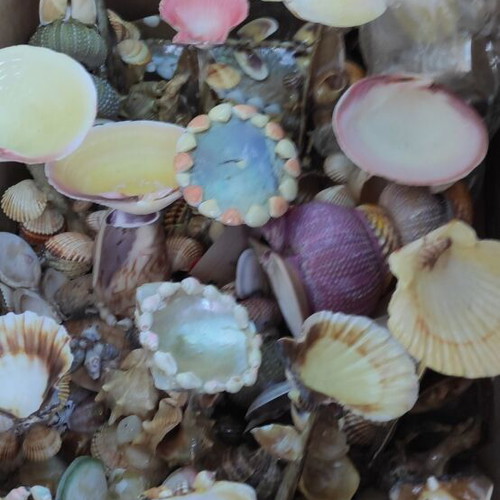 Tealight holders with colorful shells, set of 20, new