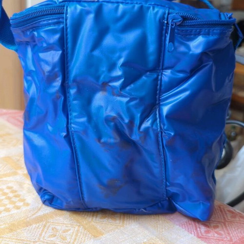 Pepsi 2002-2003 collectible cooler bag new