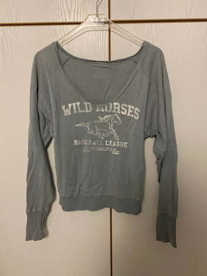 Sweatshirt with horse like new, vintage, gray-blue color