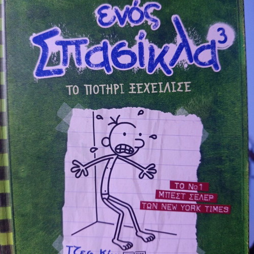Diary of a Wimpy Kid 3 like new children's book