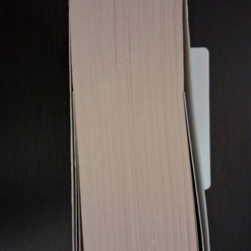 Spark in the Dark book like new, psychological crime thriller