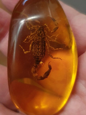 Διακοσμητικά αντικείμενα με σκορπιό σε ρητίνη, καινούργια, σετ 2 τεμαχίων