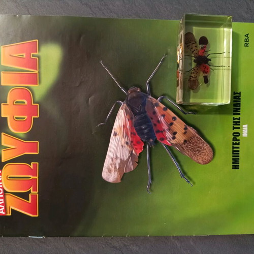 Alithina Zofyia Issue 18 used