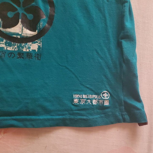 Pull & Bear Tokyo Suburbs graphic long-sleeve tee size L, teal, like new