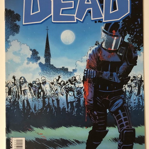 The Walking Dead issue 30 like new
