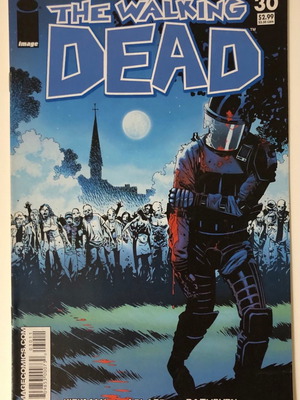 The Walking Dead issue 30 like new