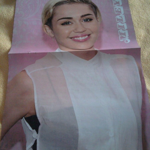 Miley Cyrus, Selena Gomez and Demi Lovato poster like new