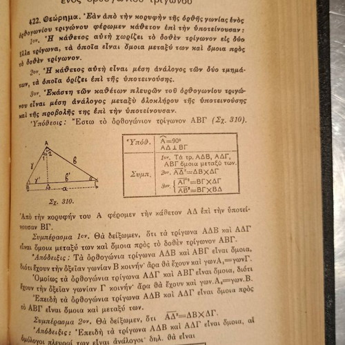 Theoretical Geometry Togka like new, leather-bound volume