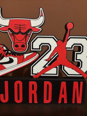 Michael Jordan Bulls Logo like new