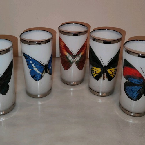 Vintage opaline glasses (5) with butterfly motifs and silver rim refurbished