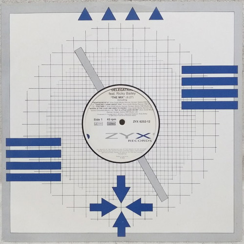 Delegation Feat. Ricky Bailey The Mix vinyl single used, 1989, Germany