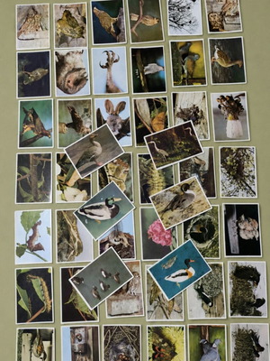 Collectible cards Faunaflor II series with flying animals, like new, 48 pcs
