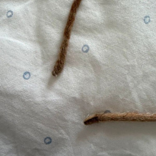 Claire's headband with kitty ears like new