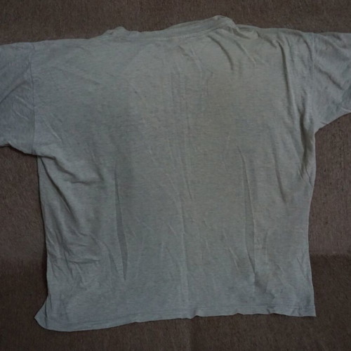 Men's short-sleeve t-shirt used, gray, size L