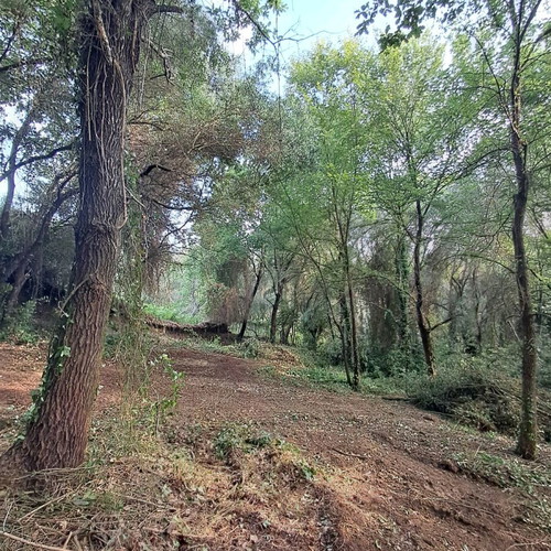 Land 5.6 stremma near Corfu city, buildable
