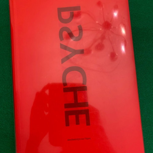 Psyche Bipolarity and Art interactive book used