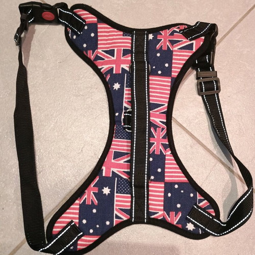 Dog items like new, coat, raincoat, leashes, harnesses for small dogs