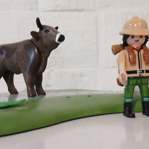 Playmobil explorer set