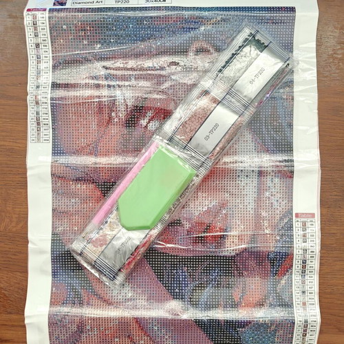 Diamond Painting Kit 30x40 Girl new