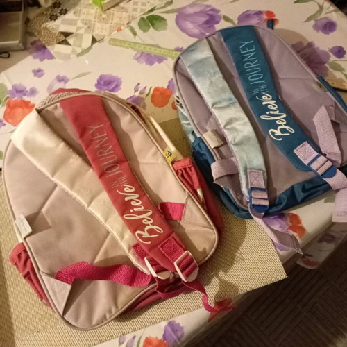 Frozen Believe in the Journey school bags used, set of 2 pieces