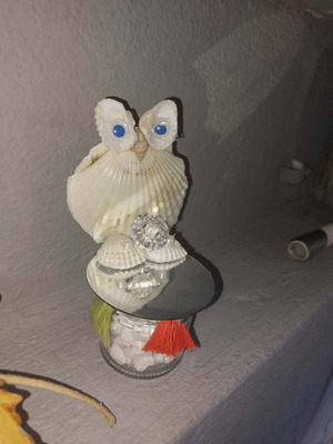 Handmade owl decoration made of natural shells on glass base