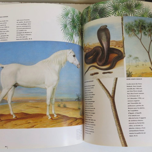 Beaux Arts magazine used for National Museum of Natural History 1994