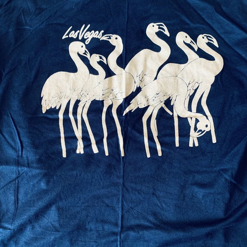 Cotton4all New Daniel turquoise T-shirt and vintage blue graphic T-shirt set