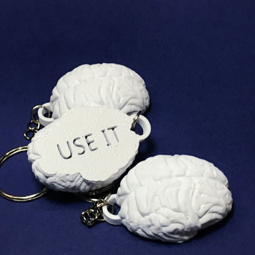 Brain Use It 3D Printed Keychain New