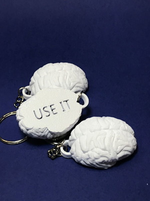 Brain Use It 3D Printed Keychain New
