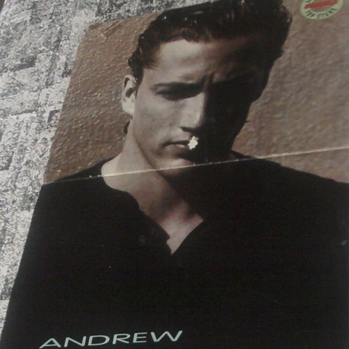 Take That & Melrose Place (Andrew Shue) poster used
